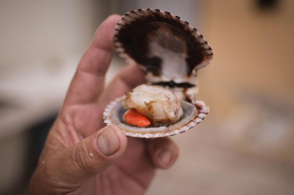 Een visser aan het werk met oesters.
